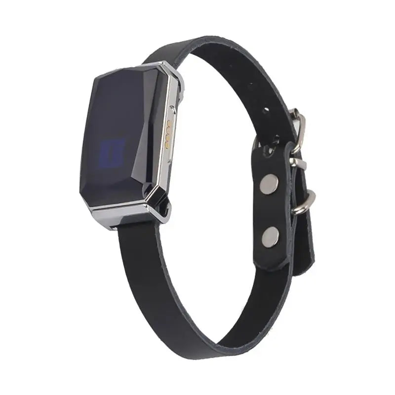Adventure GPS Pet Collar – Fetch Your Pet’s Location Anytime, Rain or Shine!