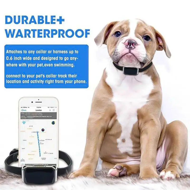 Adventure GPS Pet Collar – Fetch Your Pet’s Location Anytime, Rain or Shine!