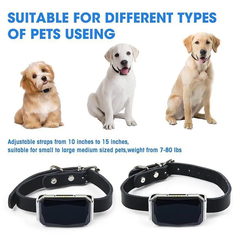 Adventure GPS Pet Collar – Fetch Your Pet’s Location Anytime, Rain or Shine!