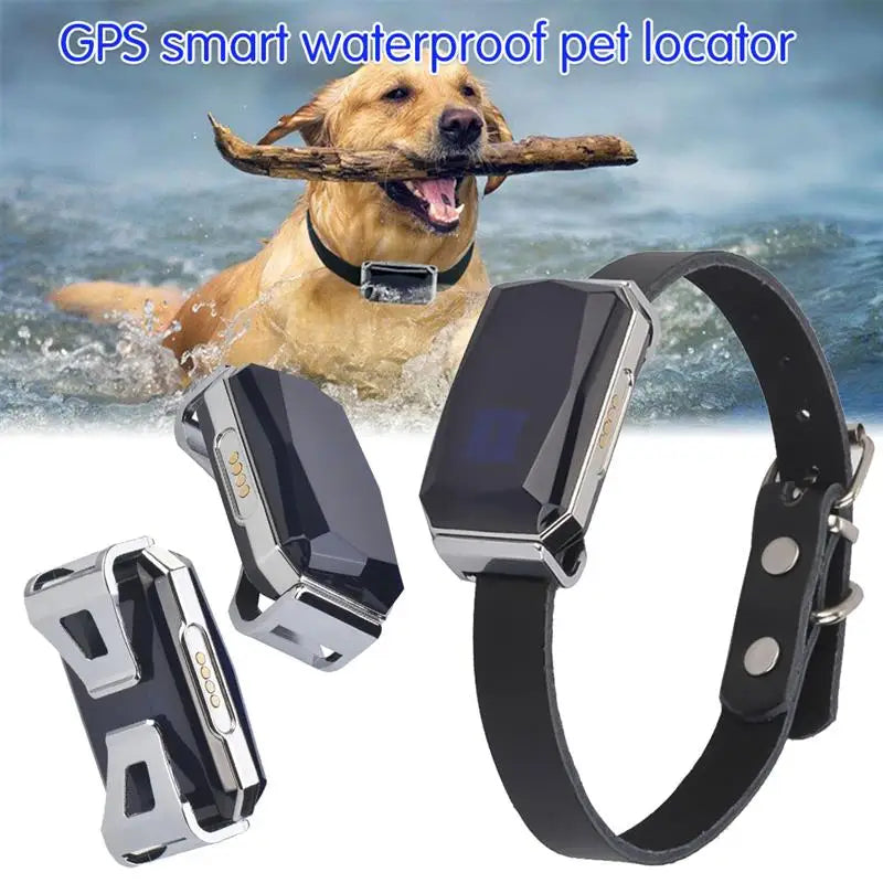 Adventure GPS Pet Collar – Fetch Your Pet’s Location Anytime, Rain or Shine!