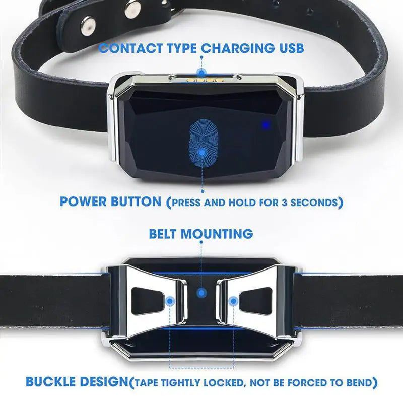 Adventure GPS Pet Collar – Fetch Your Pet’s Location Anytime, Rain or Shine!