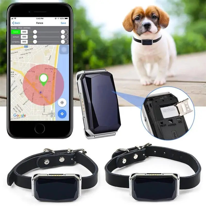 Adventure GPS Pet Collar – Fetch Your Pet’s Location Anytime, Rain or Shine!