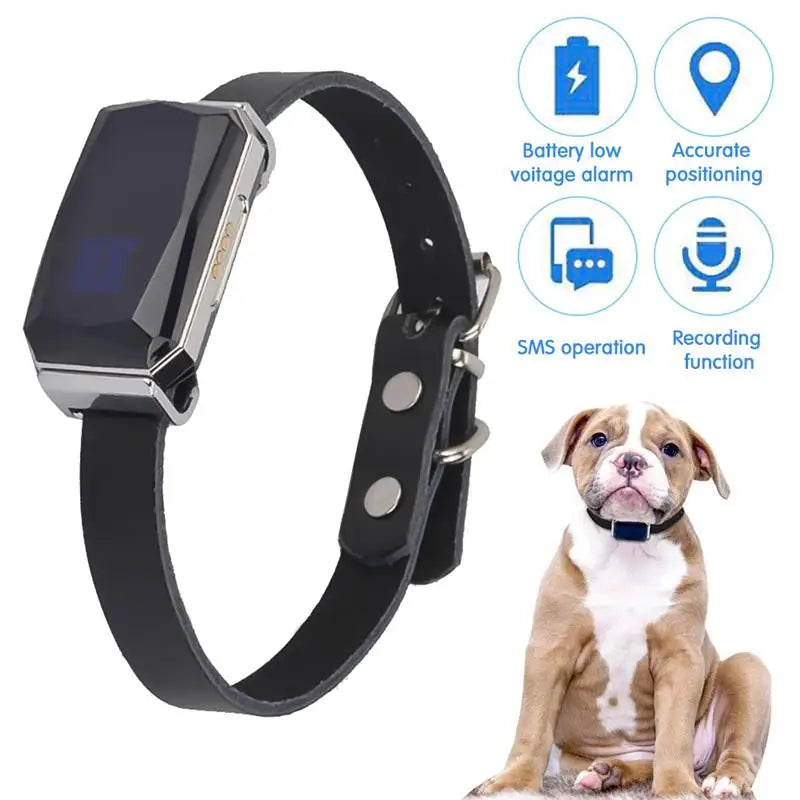 Adventure GPS Pet Collar – Fetch Your Pet’s Location Anytime, Rain or Shine!