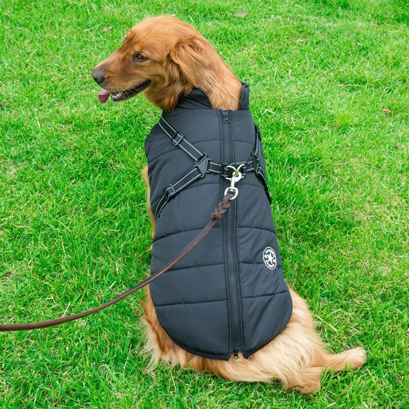 CozyPup: The Ultimate Cotton Vest for Comfort & Style!