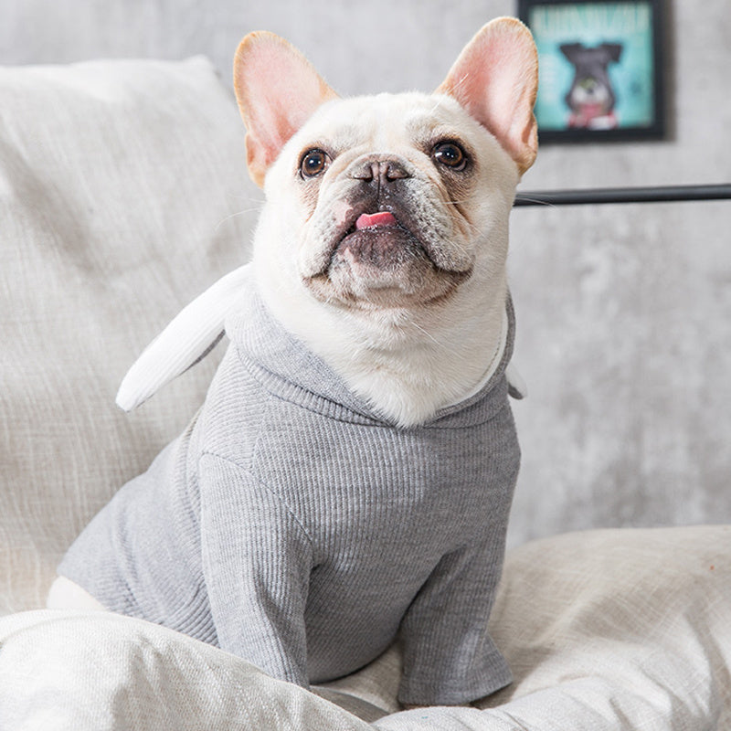 Adorable Dog Spring Sweater