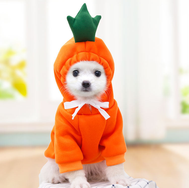 Fruit-Fresh & Snuggly: Adorable Cozy Hoodies for Your Furry Friend! 🍓🍊🍌