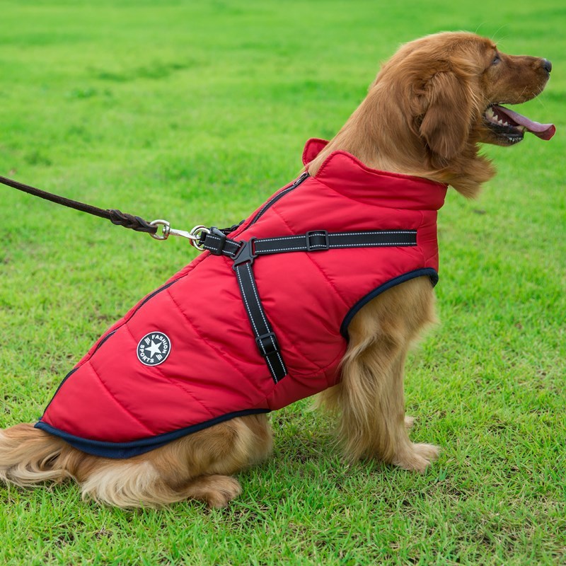 CozyPup: The Ultimate Cotton Vest for Comfort & Style!