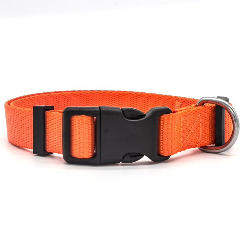 Comfort & Style: The Perfect Pet Collar for Your Furry Friend!