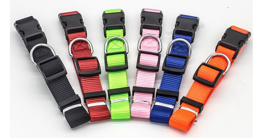 Comfort & Style: The Perfect Pet Collar for Your Furry Friend!