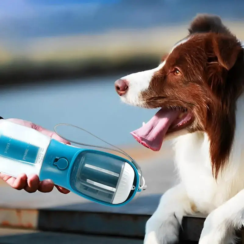 Perfect Travel Companion! - 3-in-1 Portable Dog Water, Food and Garbage Cup - Silver Streak Goods