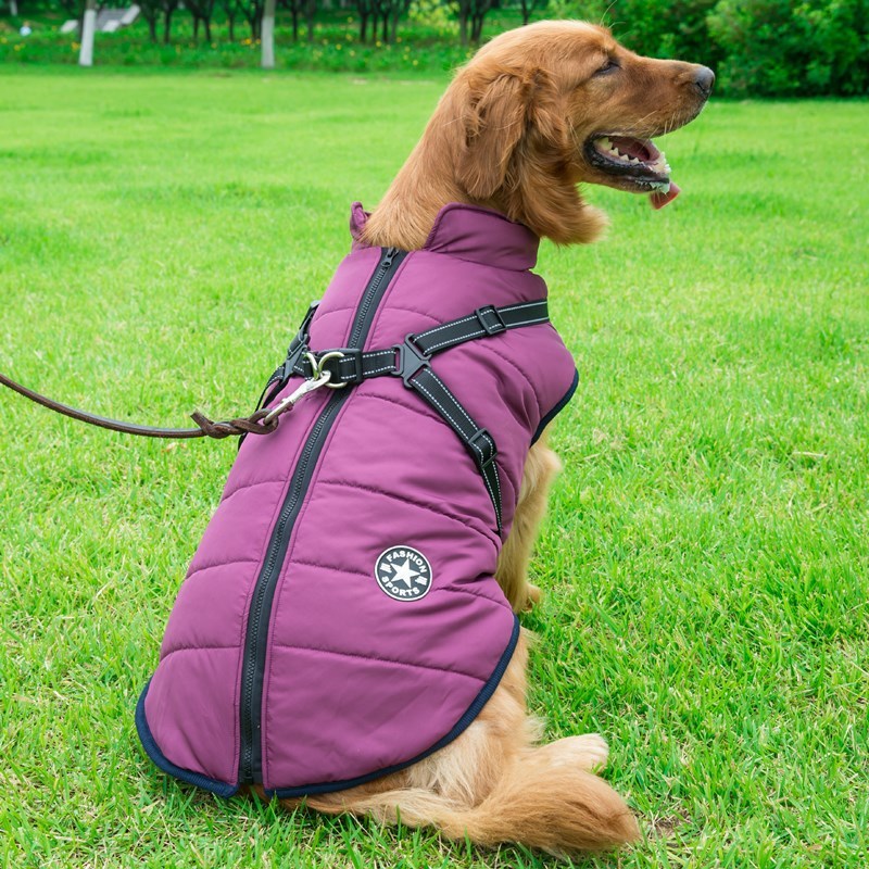 CozyPup: The Ultimate Cotton Vest for Comfort & Style!