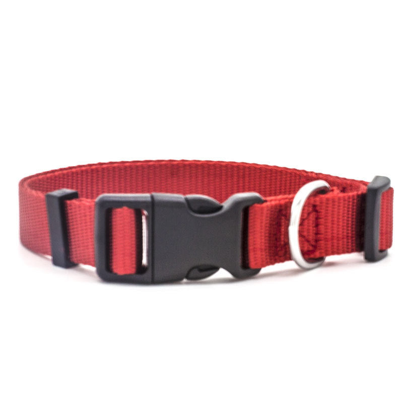 Comfort & Style: The Perfect Pet Collar for Your Furry Friend!