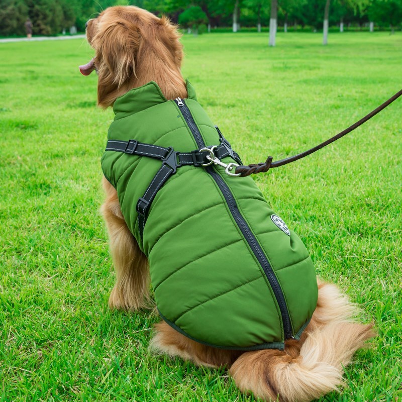 CozyPup: The Ultimate Cotton Vest for Comfort & Style!