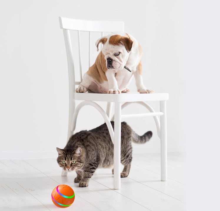 Exciting USB-Powered Self-Rotating Pet Toy - The Wicked Ball for Endless Fun! - Silver Streak Goods