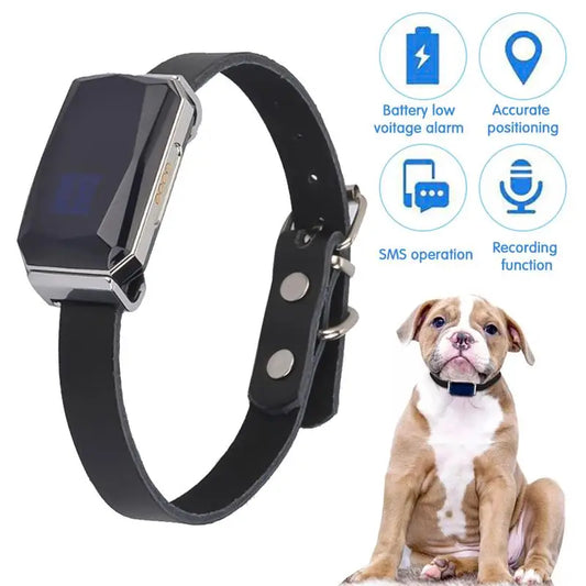 Adventure GPS Pet Collar – Fetch Your Pet’s Location Anytime, Rain or Shine!