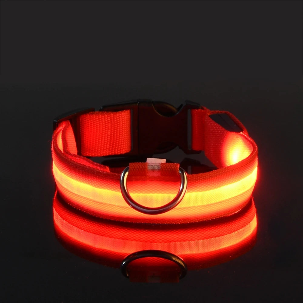 GlowPup: LED Safety Leash & Collar Set - Silver Streak Goods