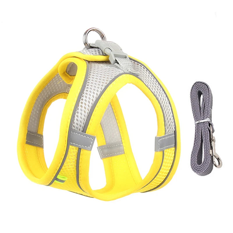 Pawsome Adventures: Adjustable Dog Harness & Leash Set - Silver Streak Goods