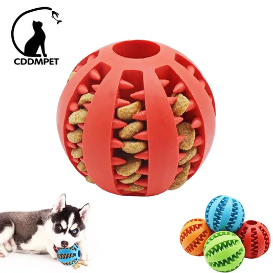 Bounce & Chew: Interactive Dog Ball Toy for Small Pups - Silver Streak Goods