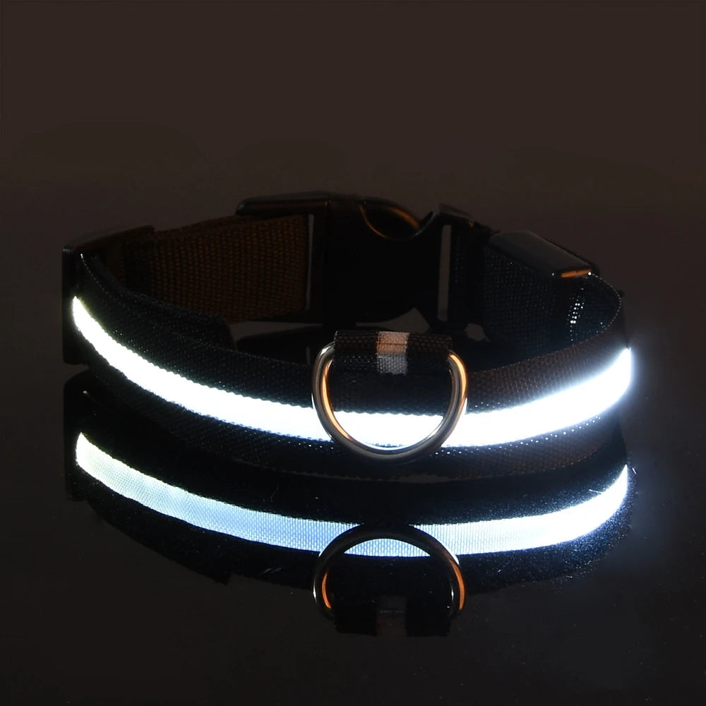 GlowPup: LED Safety Leash & Collar Set - Silver Streak Goods