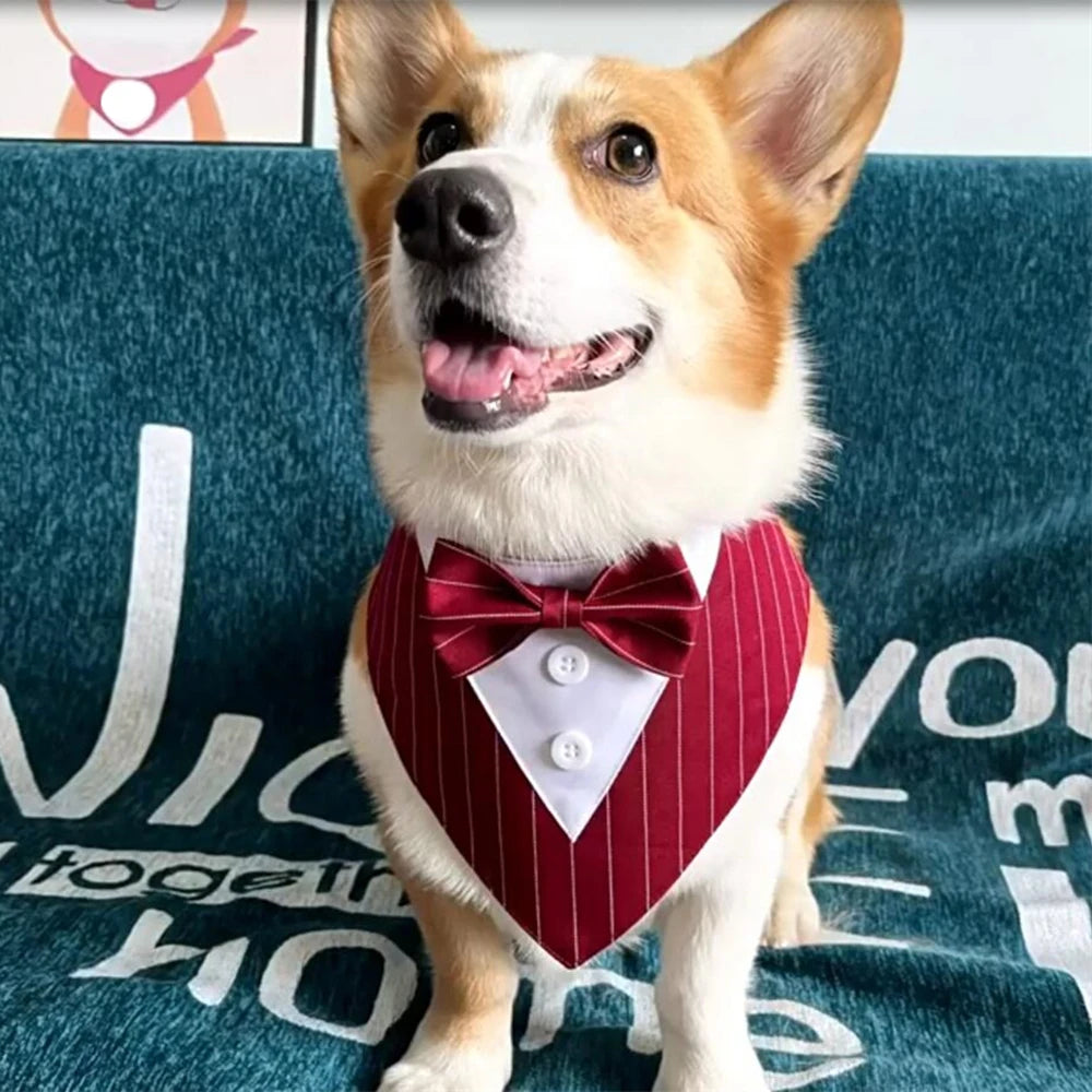 💍 Wedding-Ready Dog Bandana – Triangle Scarf with Bow Tie for Large & Small Dogs! 🐾