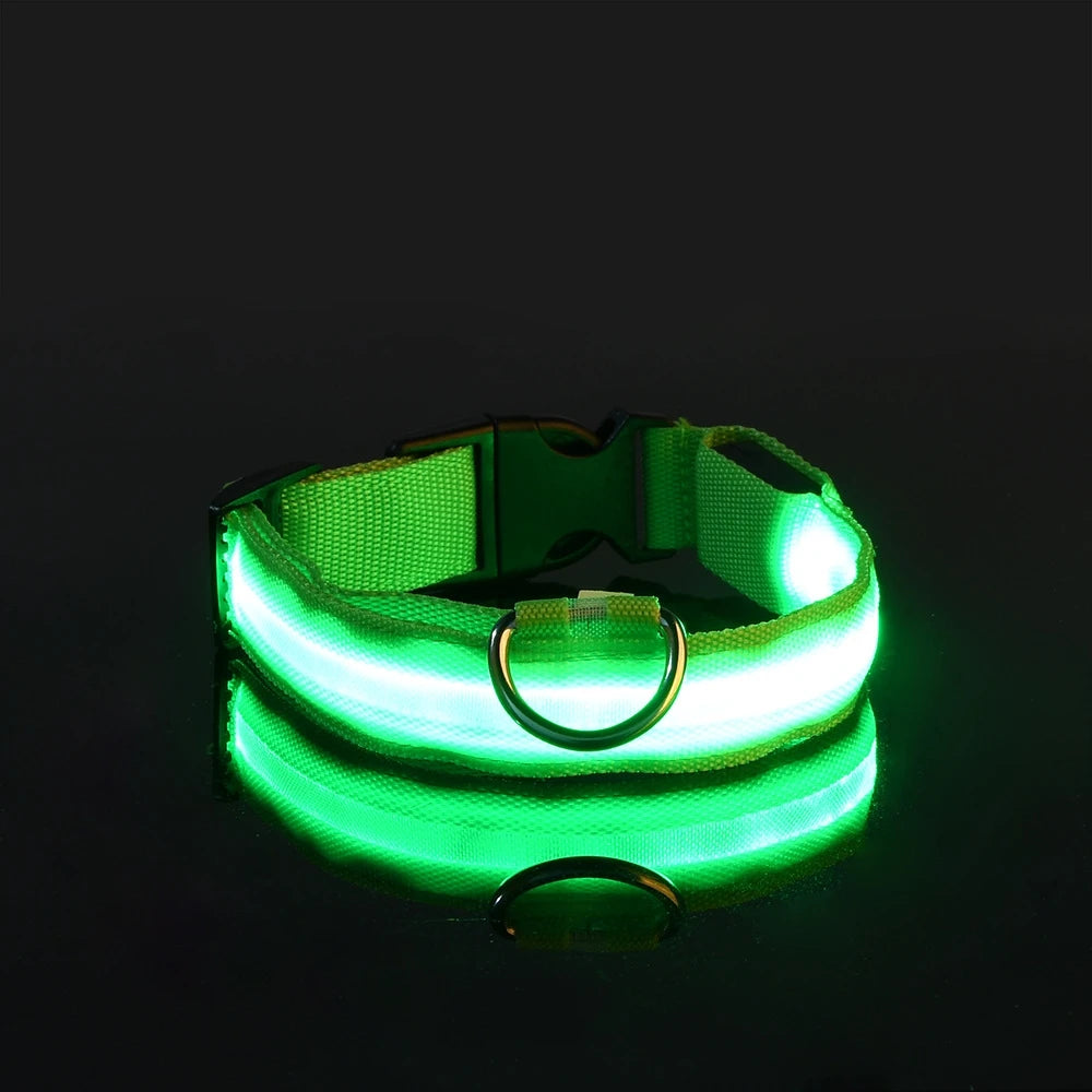 GlowPup: LED Safety Leash & Collar Set - Silver Streak Goods