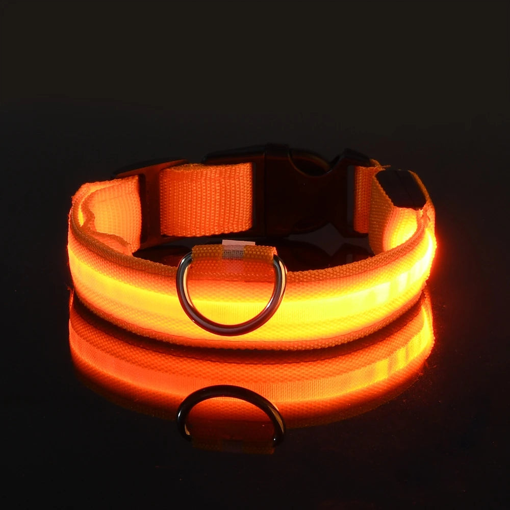 GlowPup: LED Safety Leash & Collar Set - Silver Streak Goods