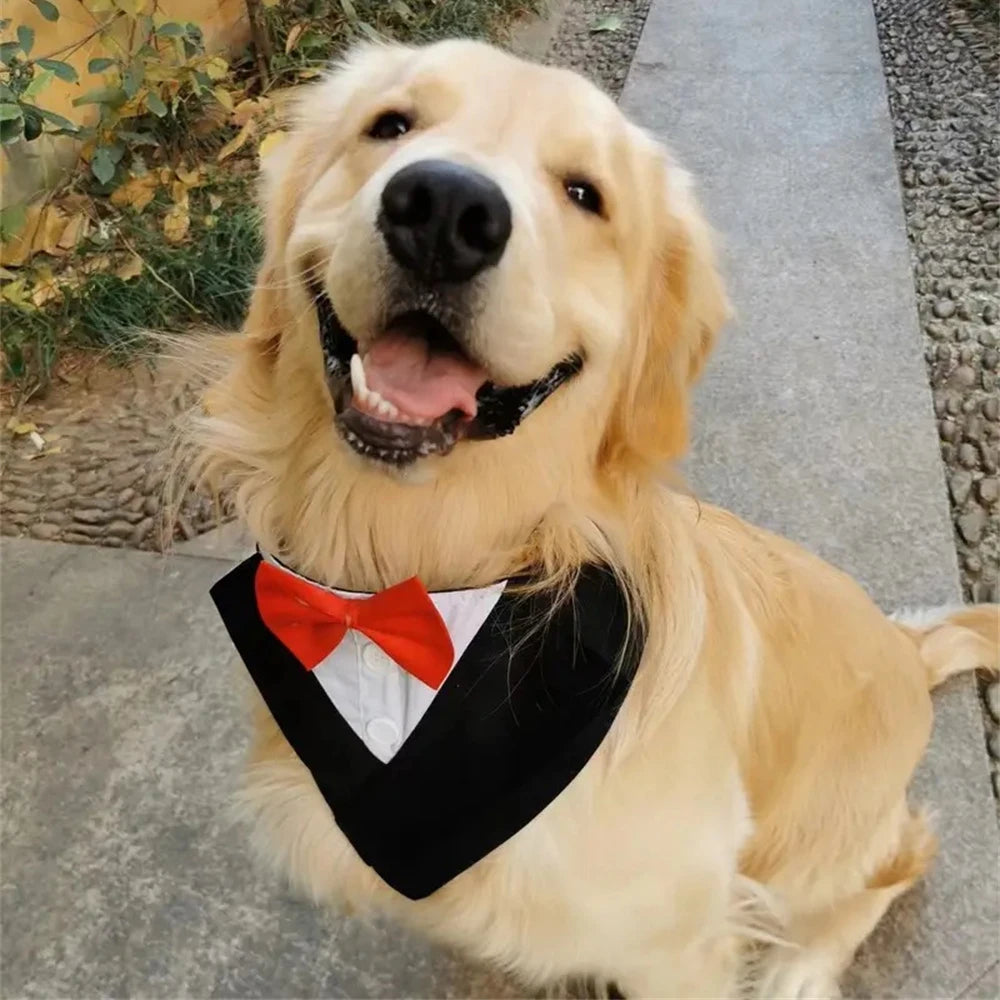 💍 Wedding-Ready Dog Bandana – Triangle Scarf with Bow Tie for Large & Small Dogs! 🐾