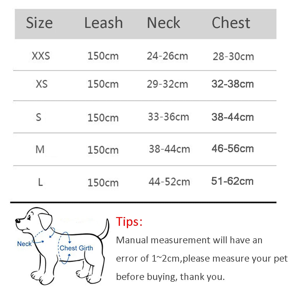 Pawsome Adventures: Adjustable Dog Harness & Leash Set - Silver Streak Goods