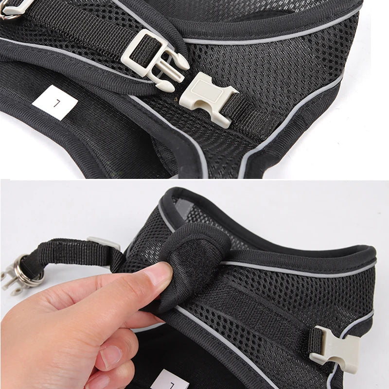 Pawsome Adventures: Adjustable Dog Harness & Leash Set - Silver Streak Goods