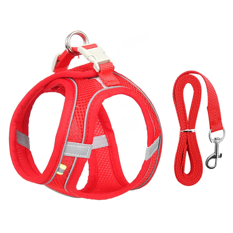 Pawsome Adventures: Adjustable Dog Harness & Leash Set - Silver Streak Goods