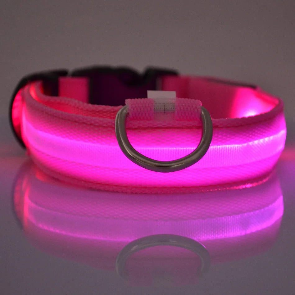 GlowPup: LED Safety Leash & Collar Set - Silver Streak Goods