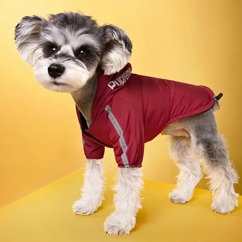 Perfect Winter Rainwear! Waterproof Reflective Dog Jacket for Small & Medium Dogs