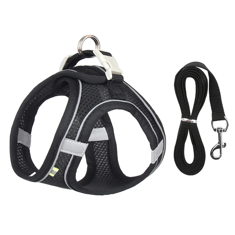 Pawsome Adventures: Adjustable Dog Harness & Leash Set - Silver Streak Goods