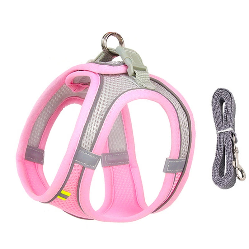 Pawsome Adventures: Adjustable Dog Harness & Leash Set - Silver Streak Goods