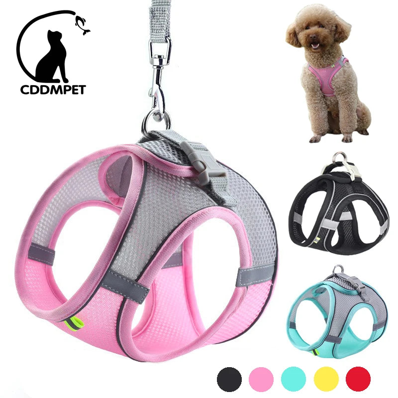 Pawsome Adventures: Adjustable Dog Harness & Leash Set - Silver Streak Goods