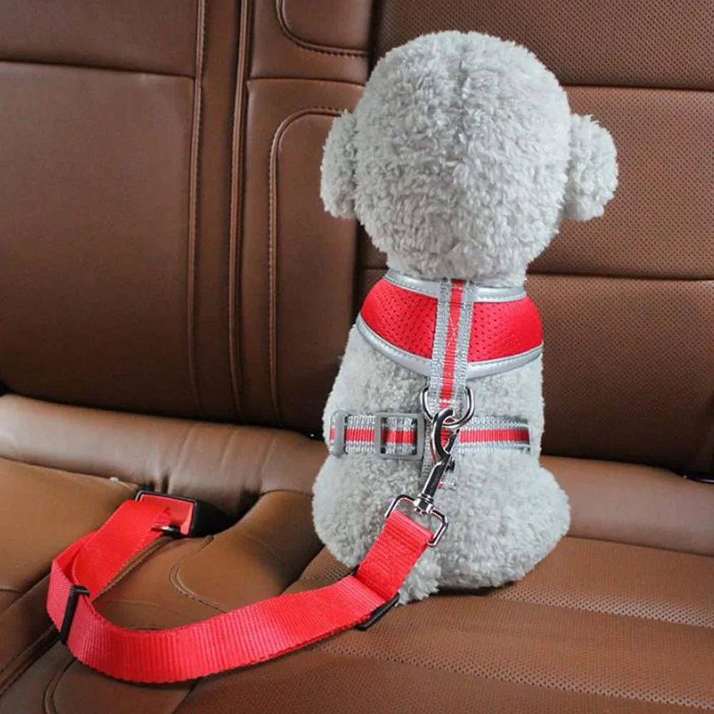 Keep them Safe!! with Pet Car Safety Belt - Silver Streak Goods