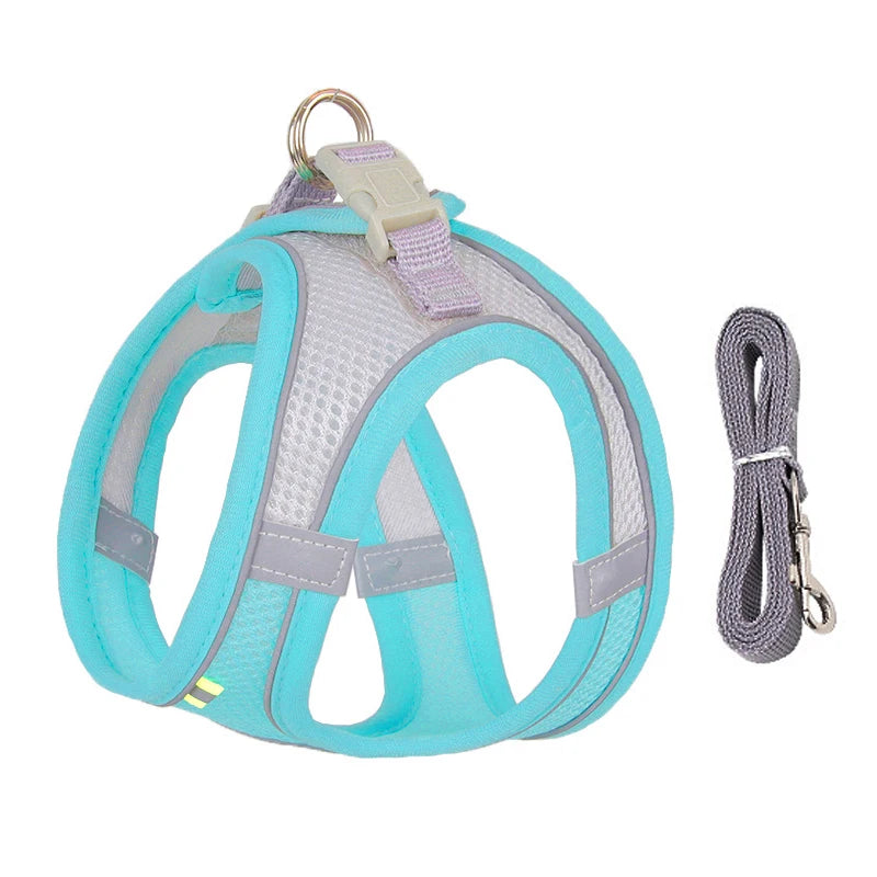 Pawsome Adventures: Adjustable Dog Harness & Leash Set - Silver Streak Goods